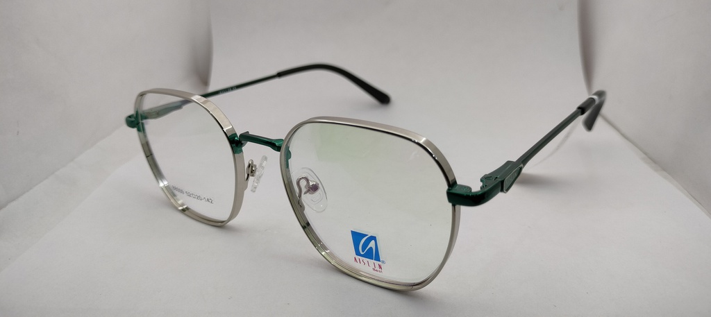 AISLIN (AISLIN) FRAME ASN (AISLIN)-FRAME 88009