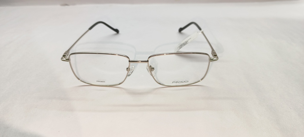 PROVO (PROVO) FRAME PR5805 Metal